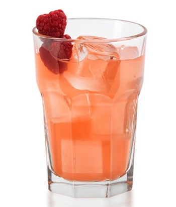 Producto - GIBRALTAR BEVERAGE (DURATUFF) 12OZ / 355ML
