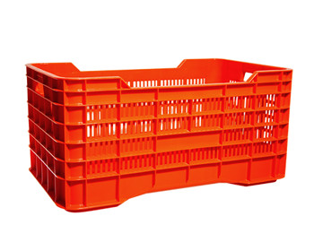 Categoría - CAJA Y FILLER