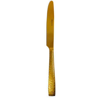 Producto - 84673 CUCHILLO EUROPEO PARMA AURA 18/10